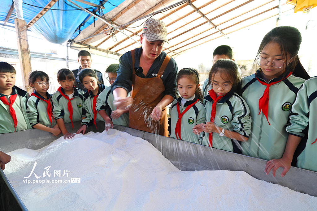 浙江溫嶺：學做年糕 傳承民俗【6】