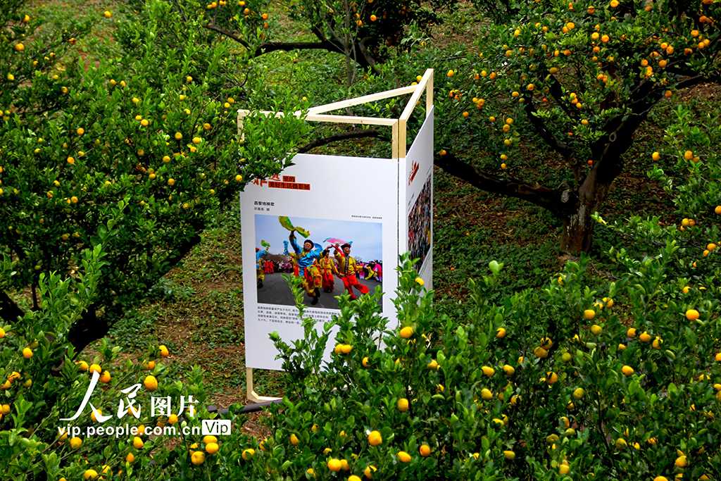 江西南豐:“非遺里的美好生活”優秀作品展開幕【6】