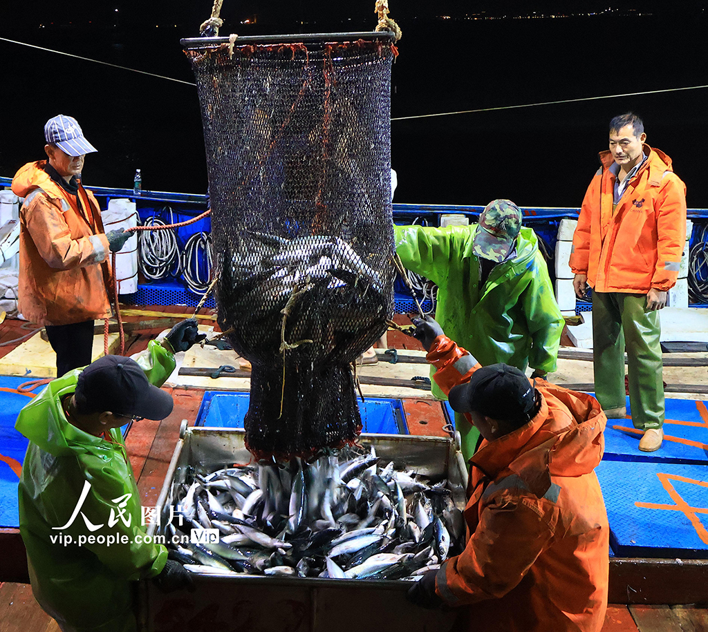 浙江玉環：漁船回港 海魚滿倉【4】
