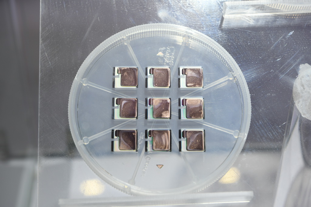 這是11月6日在第十二屆中國（綿陽）科技城國際科技博覽會上拍攝的固態薄膜電池。