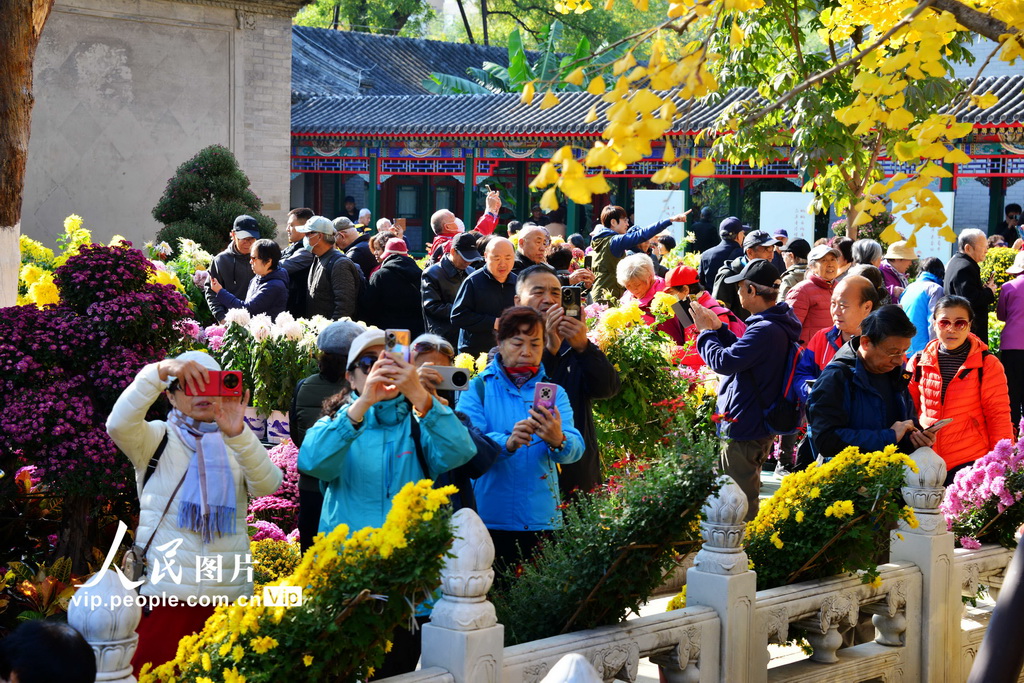 2024年11月6日，游客在修繕一新的紫竹院公園行宮駐足觀賞菊花展。