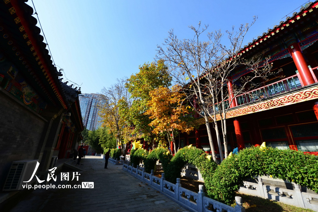 2024年11月6日，修繕一新的紫竹院公園行宮一角。