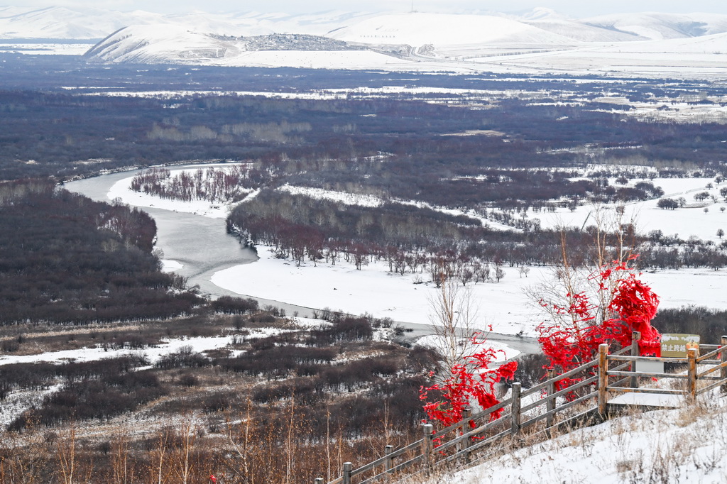 這是11月12日拍攝的額爾古納濕地雪景。
