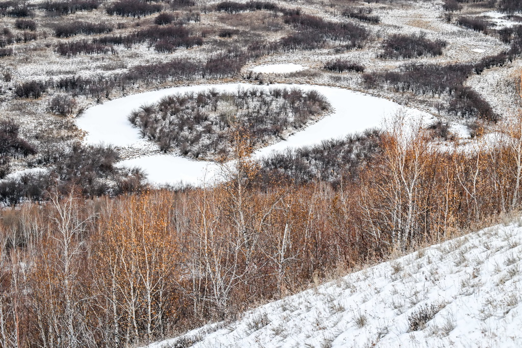 這是11月12日拍攝的額爾古納濕地雪景。