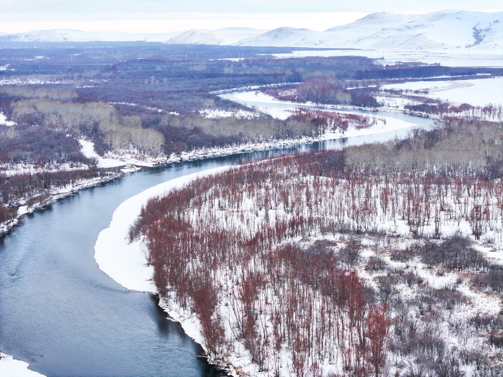 這是11月12日拍攝的額爾古納濕地雪景（無人機照片）。