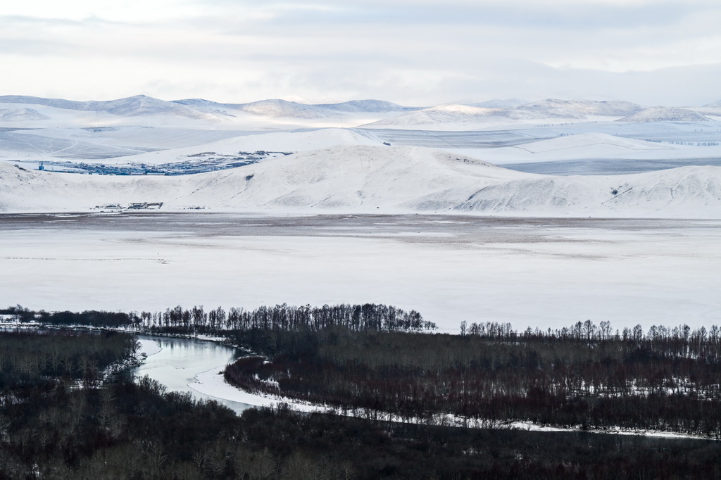 這是11月12日拍攝的額爾古納濕地雪景。