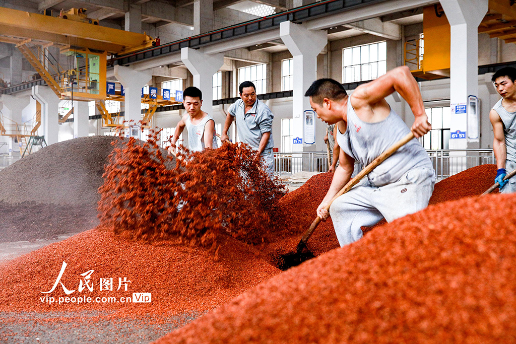 四川瀘州：古法釀酒【3】