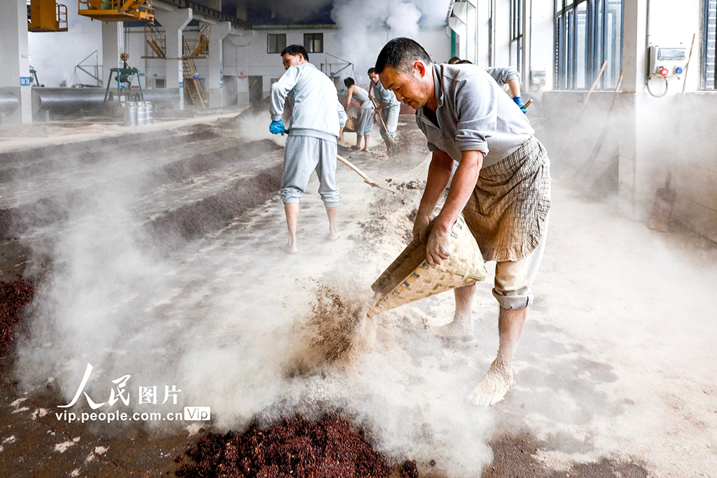 四川瀘州：古法釀酒【5】