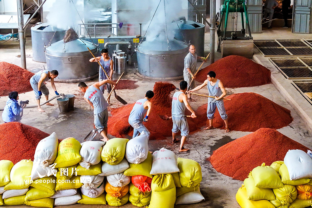 四川瀘州：古法釀酒【6】