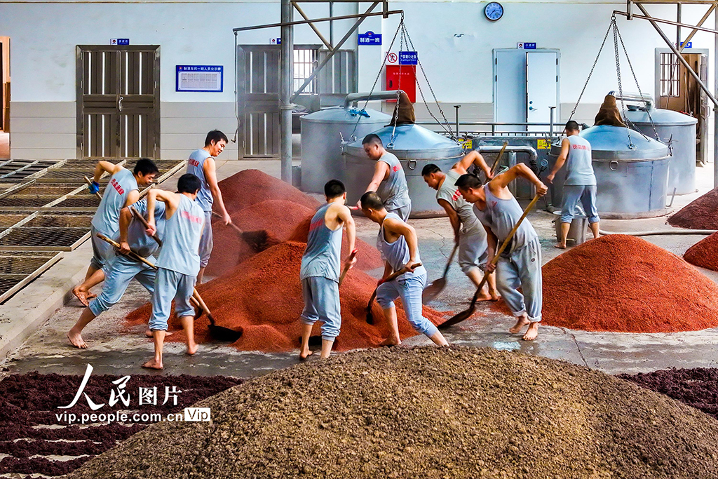 四川瀘州：古法釀酒【7】