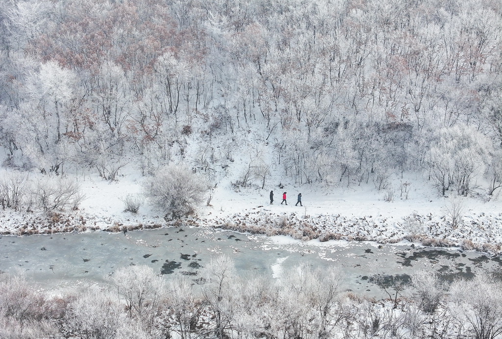 11月14日，游人行走在小河山間，欣賞霧凇景觀（無人機照片）。