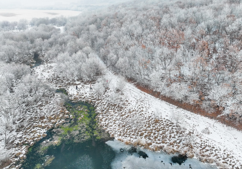 這是11月14日在莫力達瓦達斡爾族自治旗拍攝的霧凇景觀（無人機照片）。