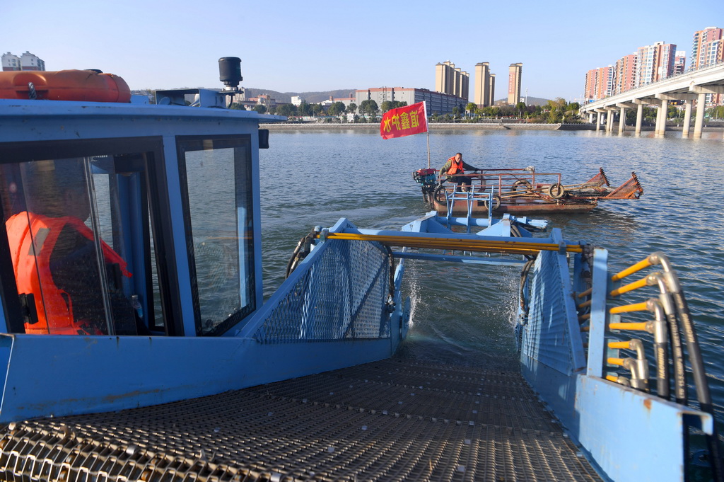 11月28日，清漂志愿者在淅川縣鸛河流域城區段作業。