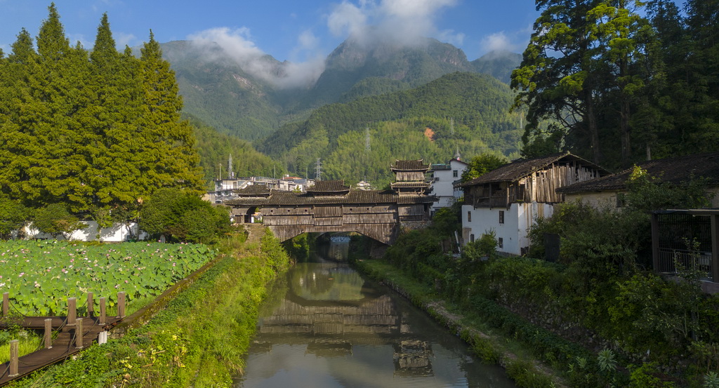 這是在浙江省麗水市慶元縣拍攝的古廊橋如龍橋（2022年8月18日攝，無人機照片）。新華社發（吳春平攝）