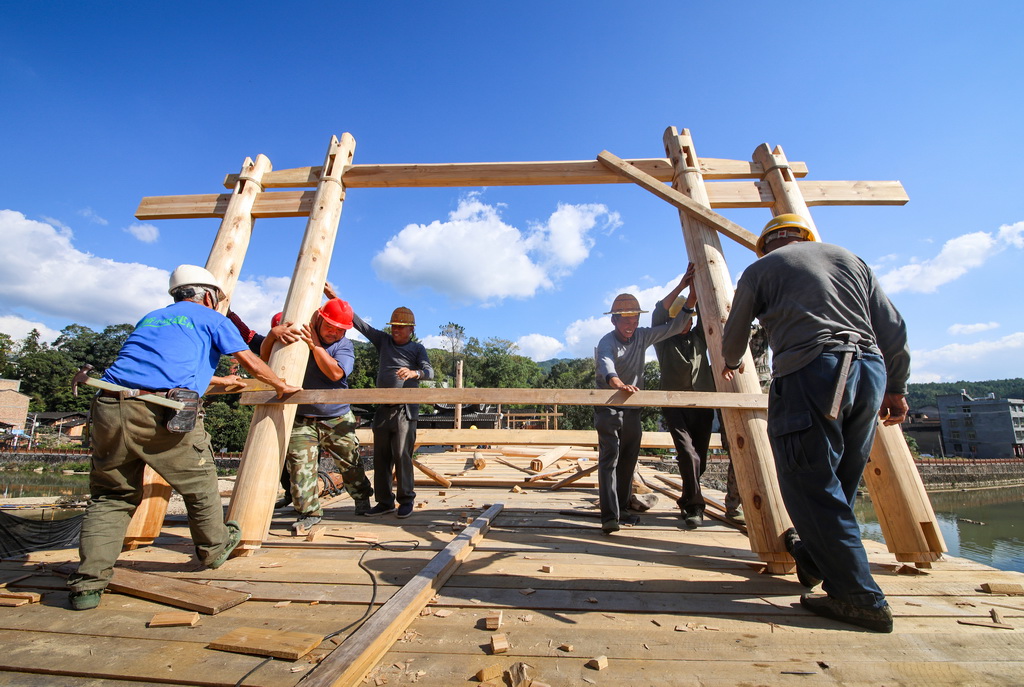 在福建省屏南縣長橋鎮，工匠們在修復萬安橋時豎起廊屋立柱（2023年11月2日攝）。新華社發（王志凌攝）