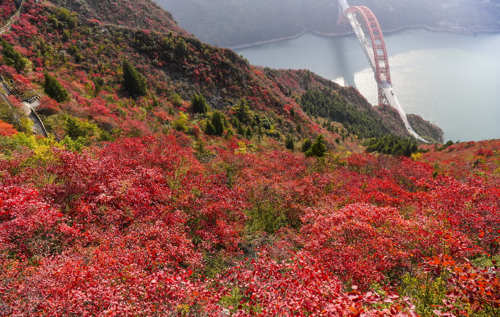 這是12月18日拍攝的長江巫峽一帶景色。