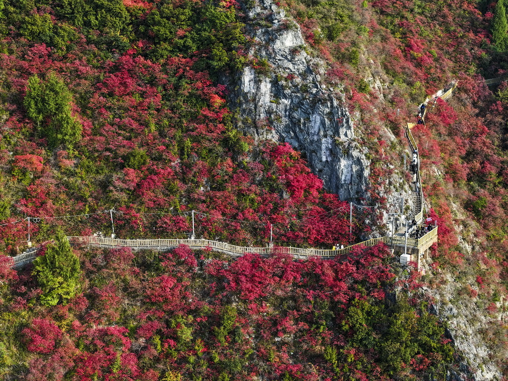 12月18日，游客在重慶巫山文峰景區游覽（無人機照片）。