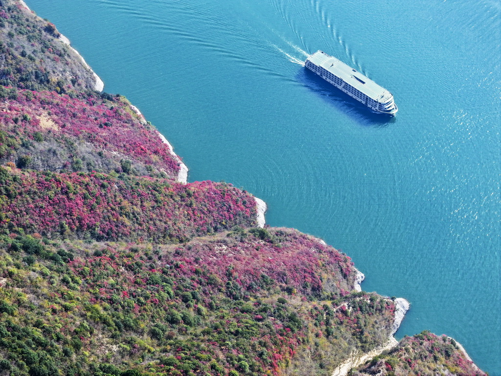 12月18日，游輪行駛在長江巫峽段（無人機照片）。