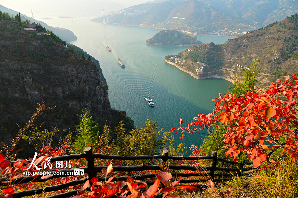 重慶：紅葉點綴長江兩岸 層林盡染美如畫【4】