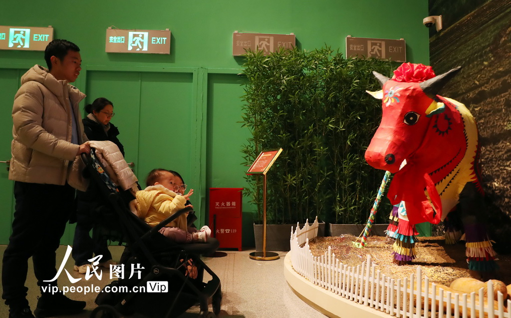 “過年——春節主題展”在北京開展【3】