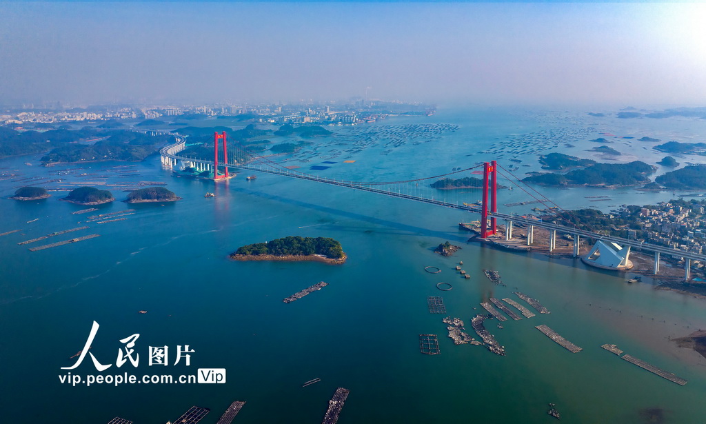 廣西欽州龍門大橋建設有序推進【7】