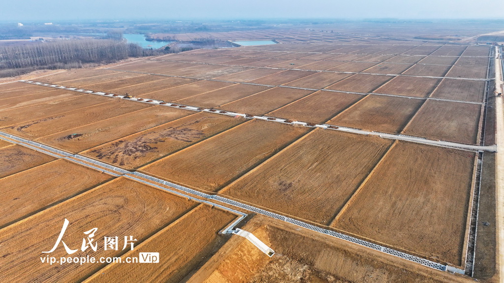 安徽合肥：冬修水利正當時【4】