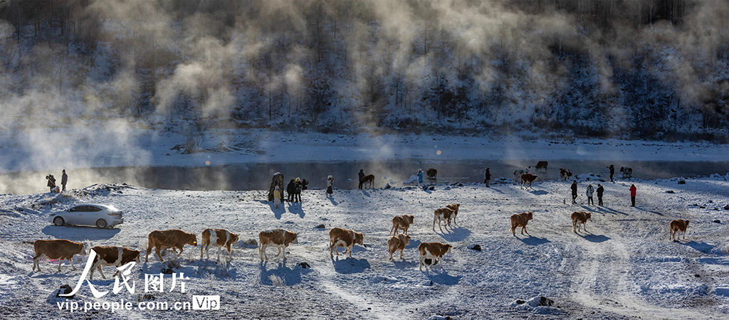 內蒙古阿爾山：不凍河風光旖旎醉游人【7】