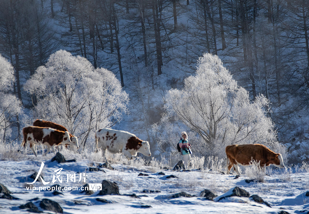 內蒙古阿爾山：不凍河風光旖旎醉游人【2】