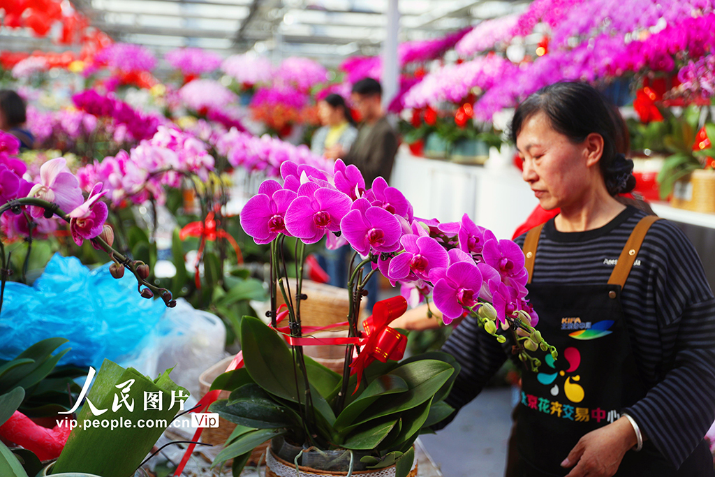 北京：新年臨近 花卉俏銷