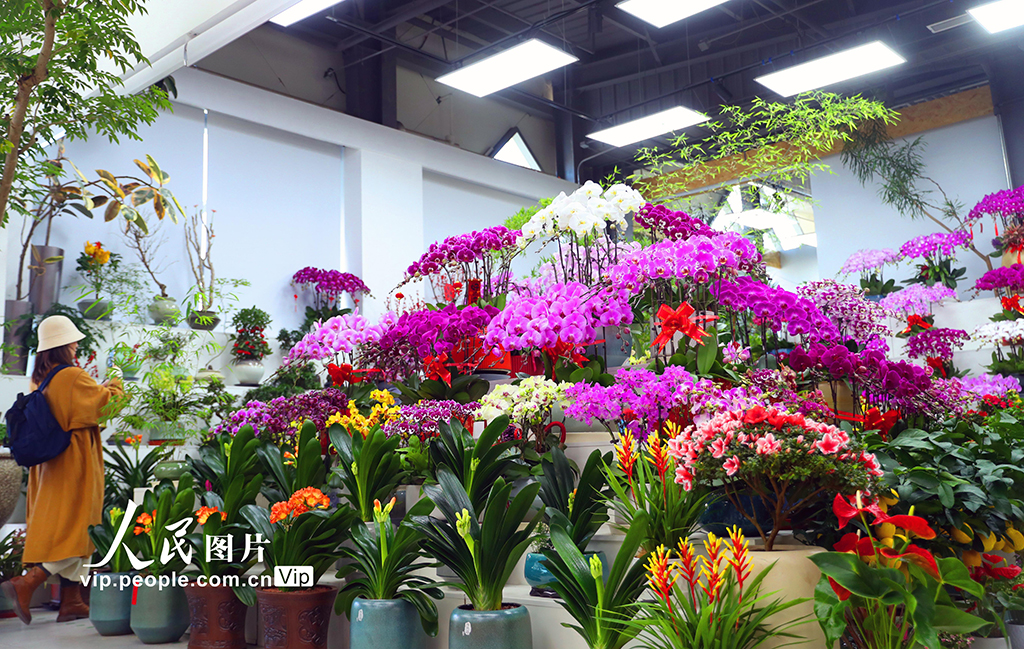 北京：新年臨近 花卉俏銷【6】
