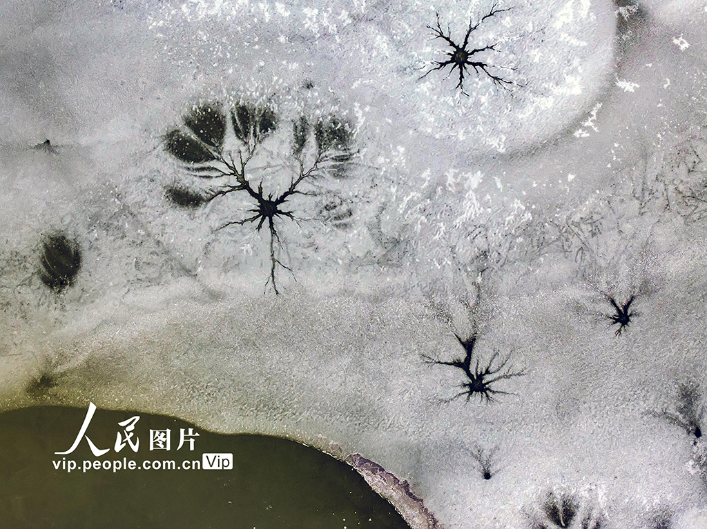 山東東營：黃河口濕地現冰花景觀【4】