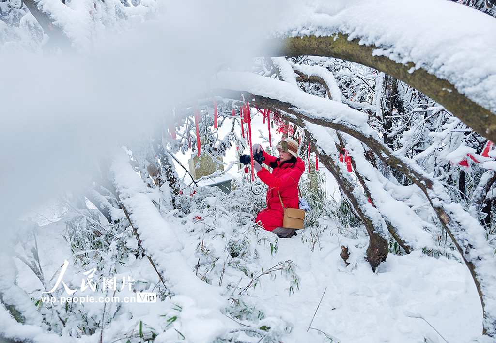 四川樂山：峨眉山冰雪旅游持續升溫【6】