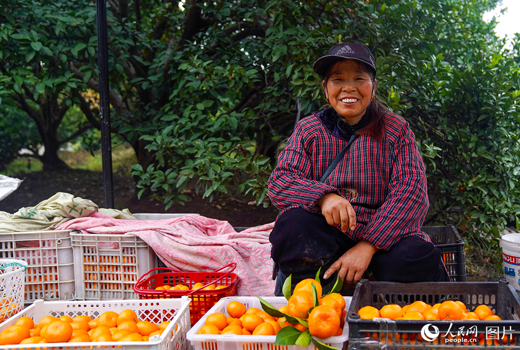 2024年12月7日，浙江省臺州市黃巖區的一位桔農因為柑橘大賣而喜笑顏開。在這里，“一顆果子”富裕了一方百姓。有數據顯示，2024年黃巖柑橘種植面積達5.4萬畝，全產業鏈產值達20億元，帶動3.2萬人就業。人民網記者 郭揚攝