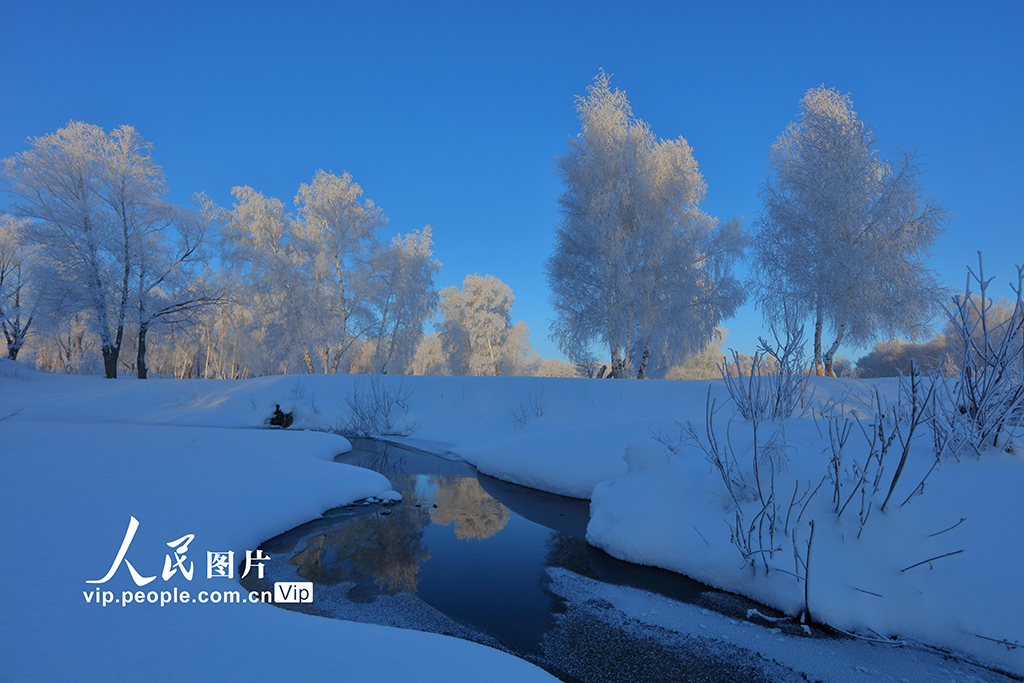 新疆哈巴河：白樺林國家森林公園出現霧凇美景【6】