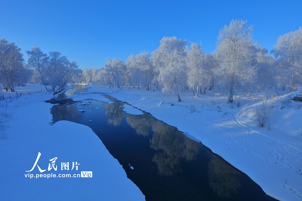 新疆哈巴河：白樺林國家森林公園出現霧凇美景