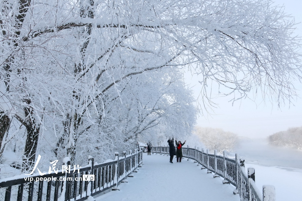 2025年1月4日，在黑龍江黑河五大連池山口湖景區拍攝的霧淞景觀。