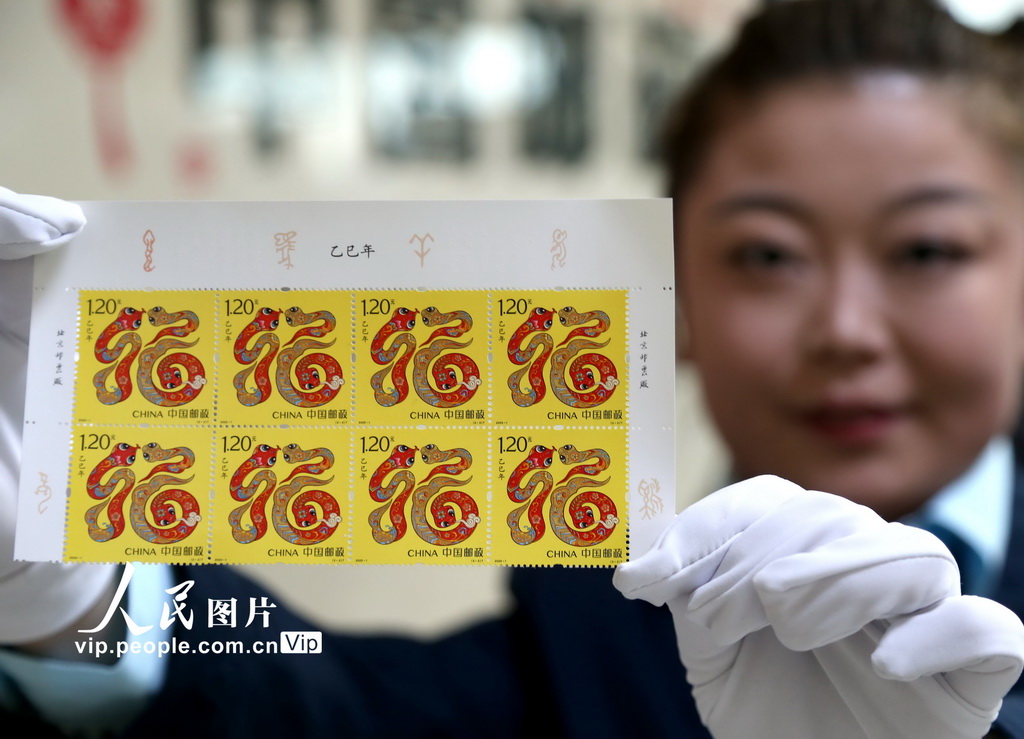 2025年1月5日，在青海省西寧市，郵政工作人員正在《乙巳年》特種郵票。張忠蘋攝（人民圖片網）