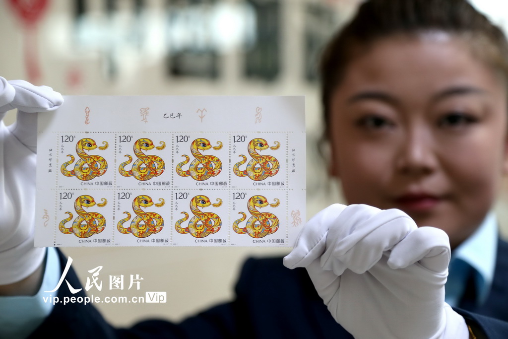 2025年1月5日，在青海省西寧市，郵政工作人員正在《乙巳年》特種郵票。張忠蘋攝（人民圖片網）