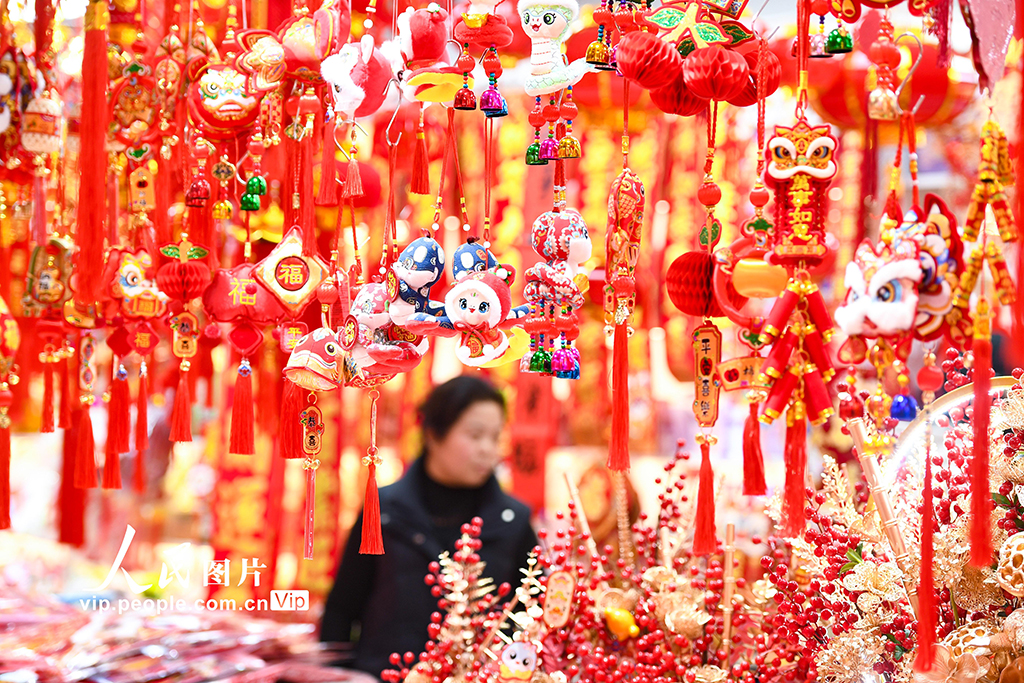 江蘇南京：采購年貨 喜迎新春【8】