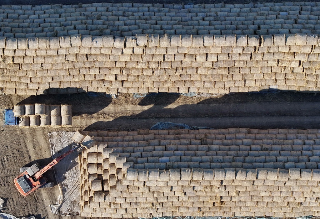 1月7日，唐山市曹妃甸區第八農場稻草回收企業的工人將打好捆的稻草碼垛（無人機照片）。