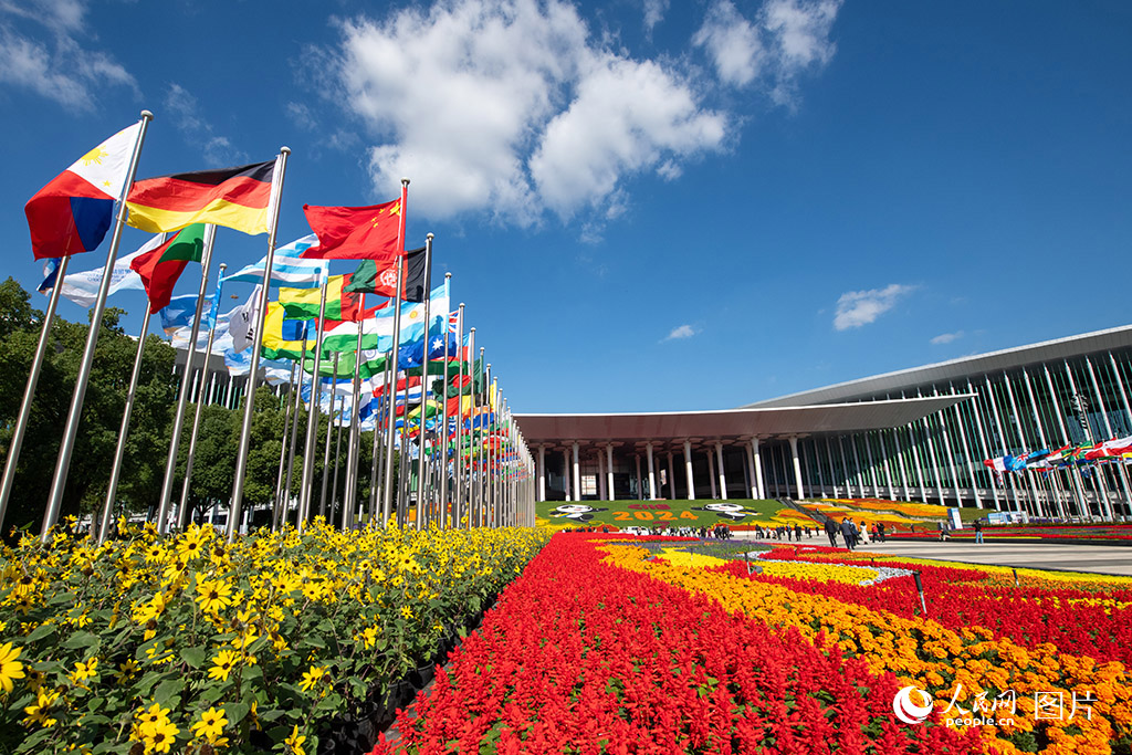 第七屆中國國際進口博覽會（以下簡稱“進博會”）于2024年11月5日至10日在上海舉辦。據了解，本屆進博會吸引了297家世界500強和行業龍頭企業參展，數量創歷史新高，400多項代表性新產品、新技術、新服務集中亮相。圖為11月6日，國家會展中心（上海）南廣場，鮮花綻放，各國國旗迎風飄揚。人民網記者 翁奇羽攝