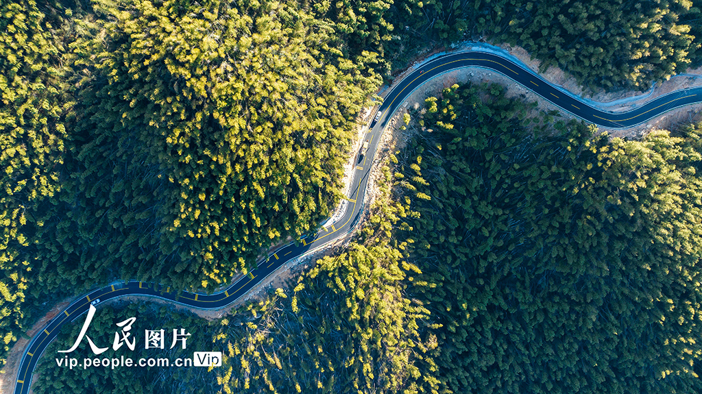 江西豐城：“風電+旅游”串起鄉村發展新“風景”【4】