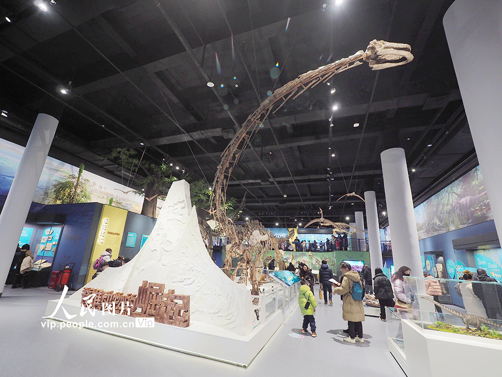 國家自然博物館“脊椎動物的崛起”展廳正式開放