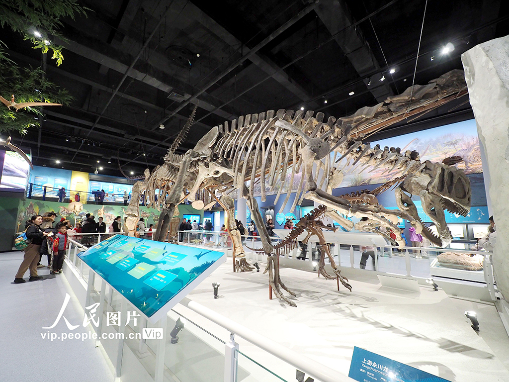 國家自然博物館“脊椎動物的崛起”展廳正式開放【7】