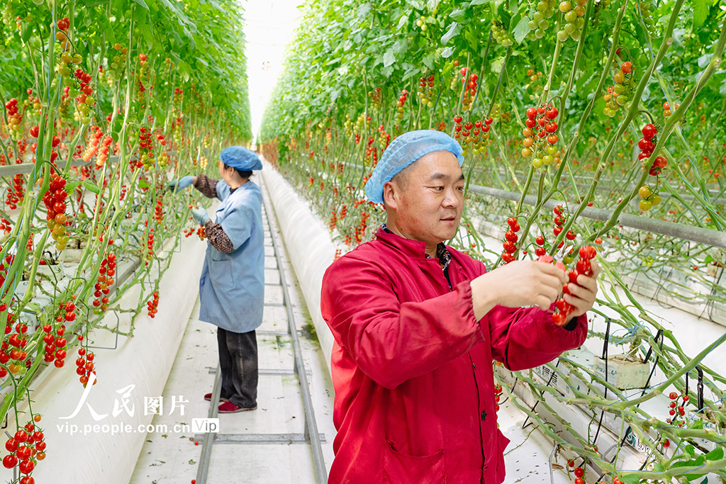 打造生態智慧農業【4】