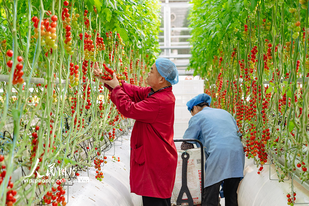 打造生態智慧農業【3】