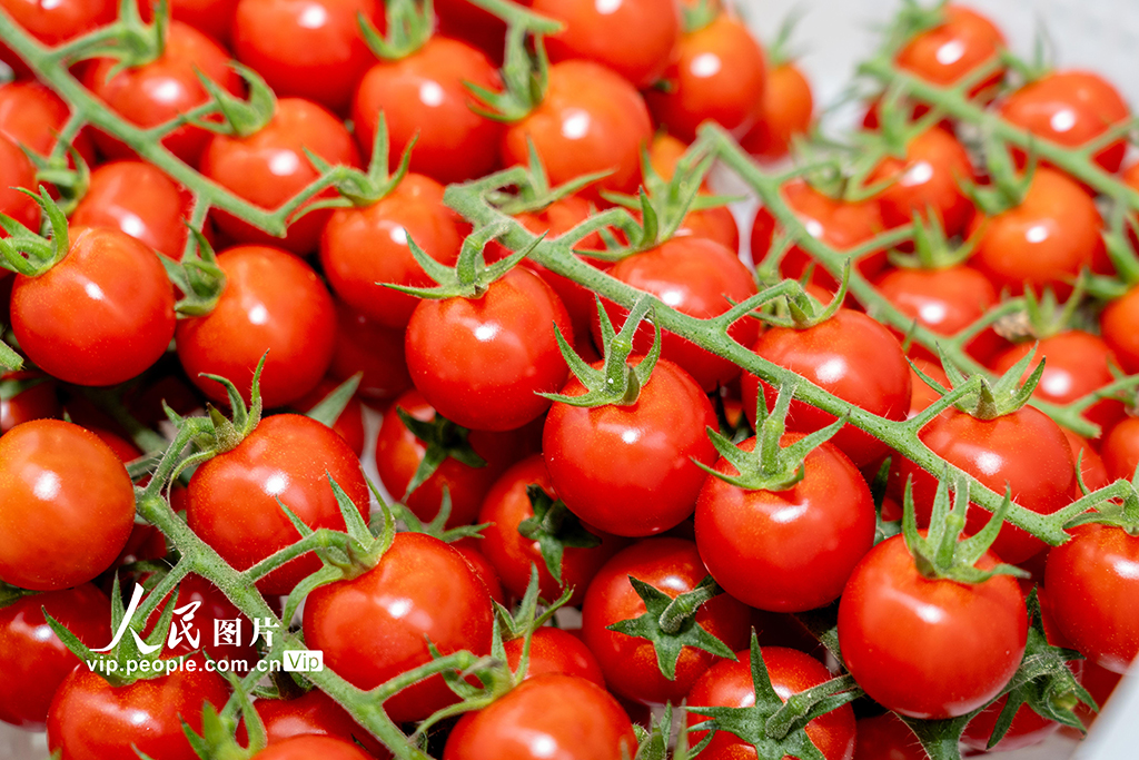 打造生態智慧農業【5】