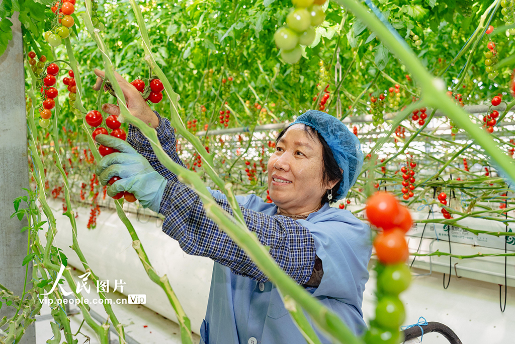 打造生態智慧農業【2】