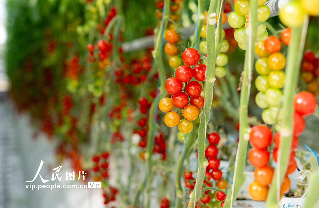 打造生態智慧農業【7】