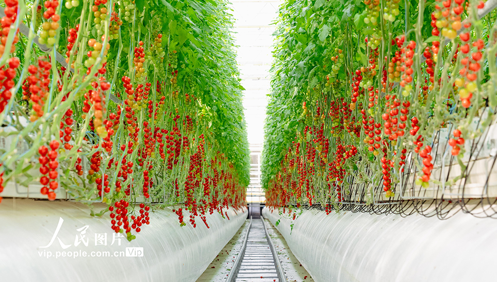 打造生態智慧農業【10】